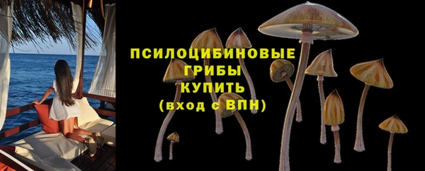 Альфа ПВП Иннополис