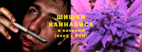 ПСИЛОЦИБИНОВЫЕ ГРИБЫ Инта