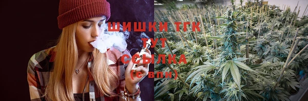 ПСИЛОЦИБИНОВЫЕ ГРИБЫ Инта