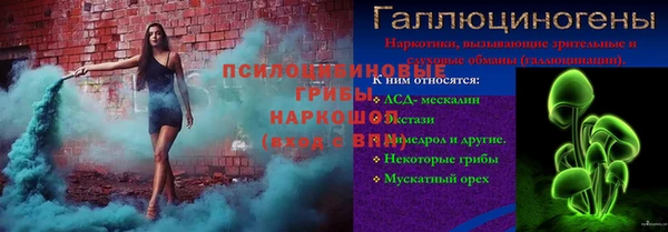 ПСИЛОЦИБИНОВЫЕ ГРИБЫ Инта